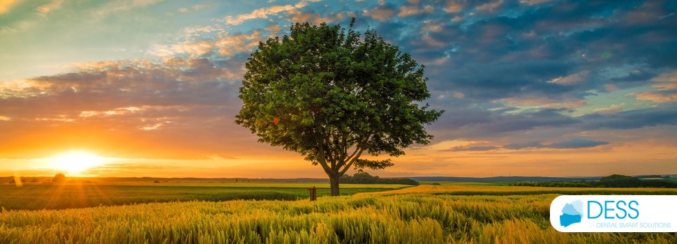 DESS Dental schließt sich dem Zero CO₂-Projekt Barberá del Vallés an